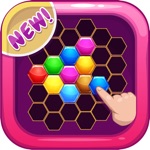 Hexa Block Puzzle Challenge