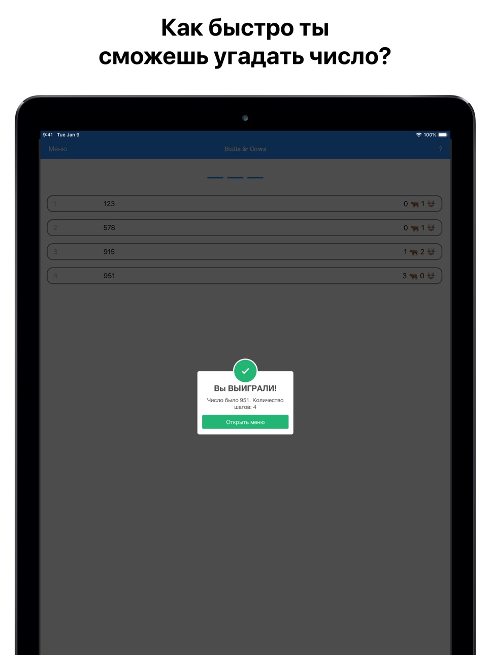iPad screenshot