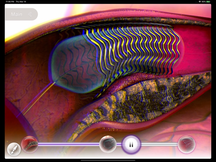 Understanding ACS - Egypt screenshot-3