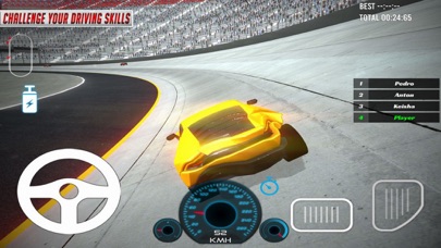 Rampage Racing Car Arena screenshot 2