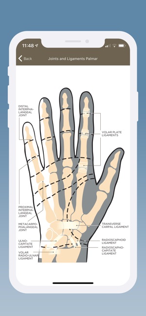 HANDOC - Hand Injury Experts(圖5)-速報App