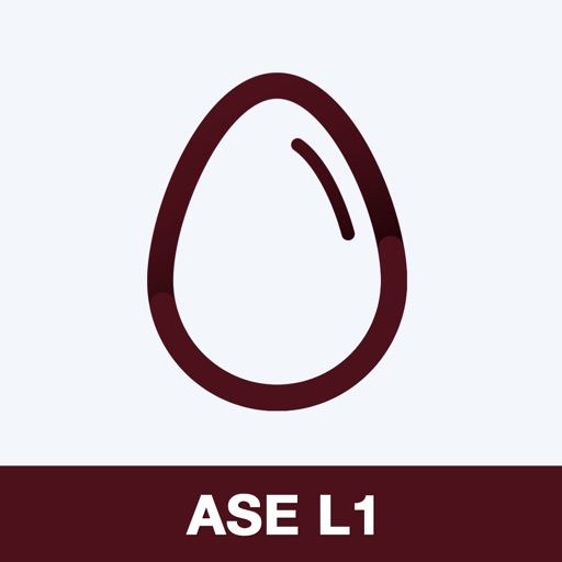 ASE L1 Practice Test Prep icon