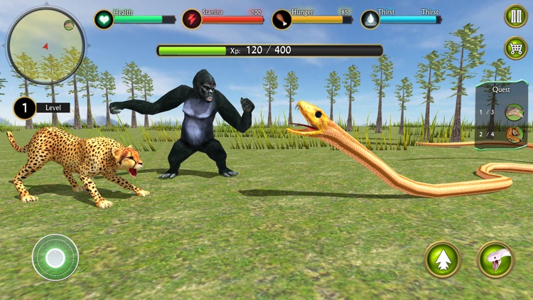 Anaconda Snake – Hunt & Attack