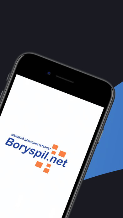 Boryspil.net screenshot 2