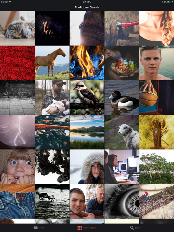 Screenshot #6 pour Mutti Mutti