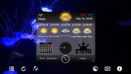 aquarium 4k - ultra hd video iphone resimleri 3