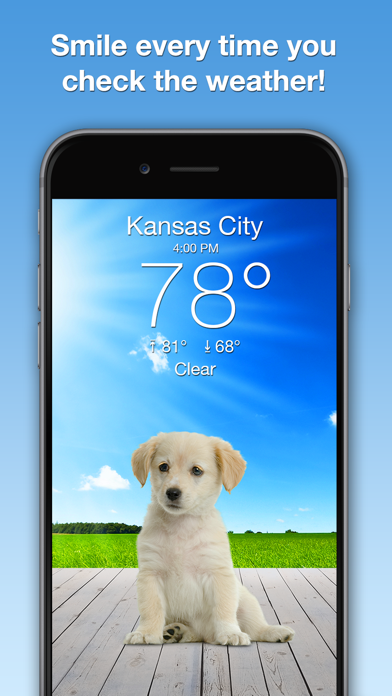 Weather Puppy Forecast + Radar Screenshot