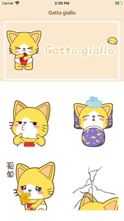 Gatto giallo