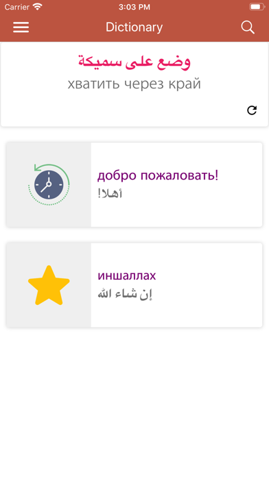 Arabic-Russian Dictionary screenshot 3