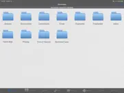 mobiletoolz™ pro - for ipad айпад изображения 1