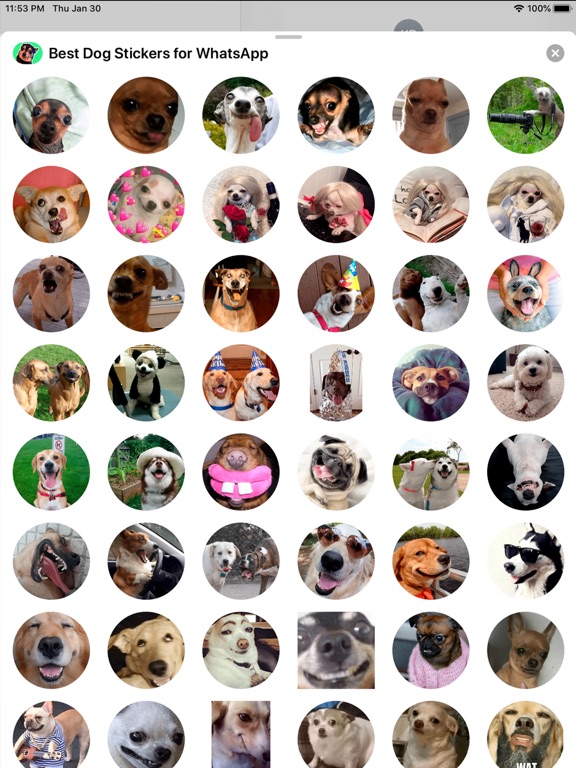 Screenshot #5 pour Best Dog Stickers for WhatsApp