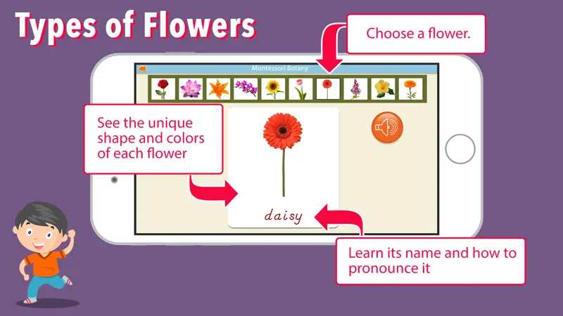 Learn Botany - Parts of Plants screenshot 6 of 9