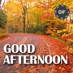 Good Afternoon Gif