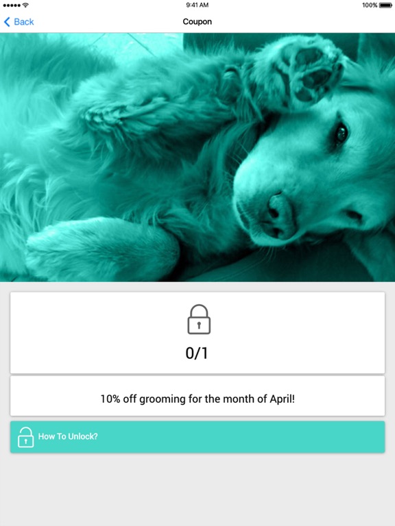 Wipe Your Paws iPad screenshot 3 - Business app