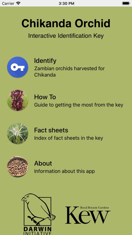 Chikanda Orchid Key