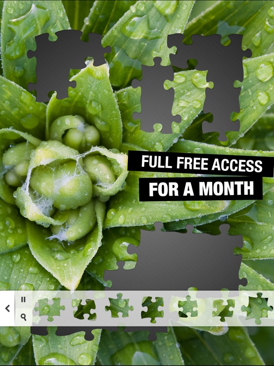 Jigsaw Puzzles ST screenshot-4