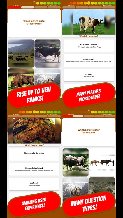 COW & BOVINE Quiz
