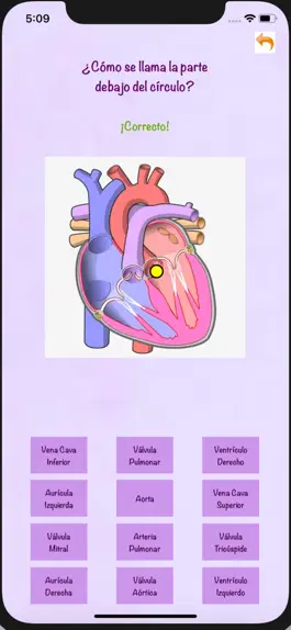 Game screenshot Genio de Anatomía hack