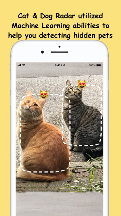 Cat & Dog Radar Screenshot
