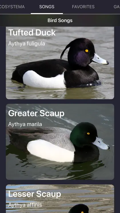 Captura de tela 6 de 6 de Bird Sounds and Bird Calls