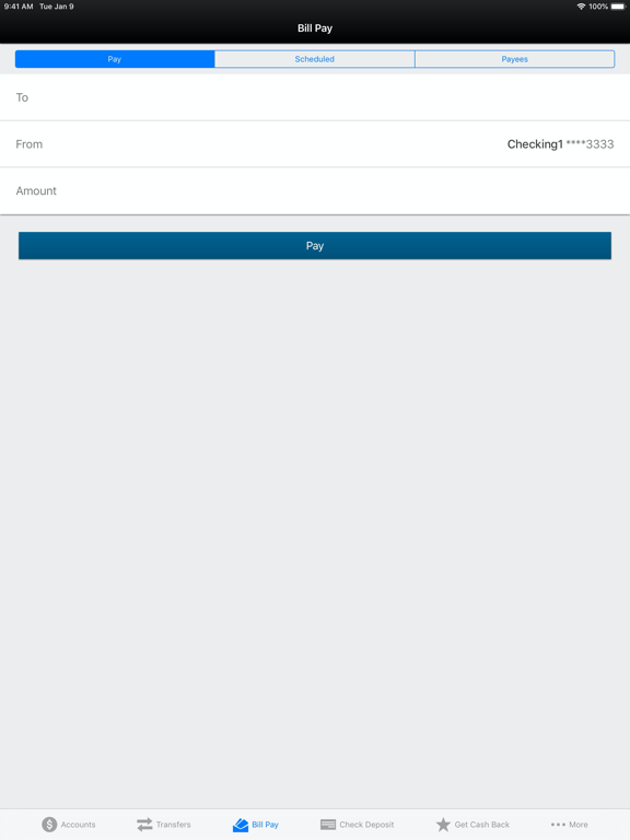 Pittsford FCU Mobile Banking iPad screenshot 6 - Finance app