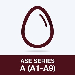 ASE Series A (A1-A9) Test