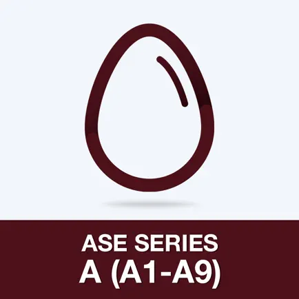 ASE Series A (A1-A9) Test Читы