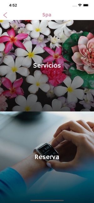 Punto y Encanto(圖3)-速報App