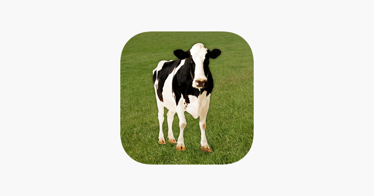 Download Let your iPhone keep up with the moo-vement with our Cow