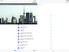 APlayer - Alook Player iPad image 4