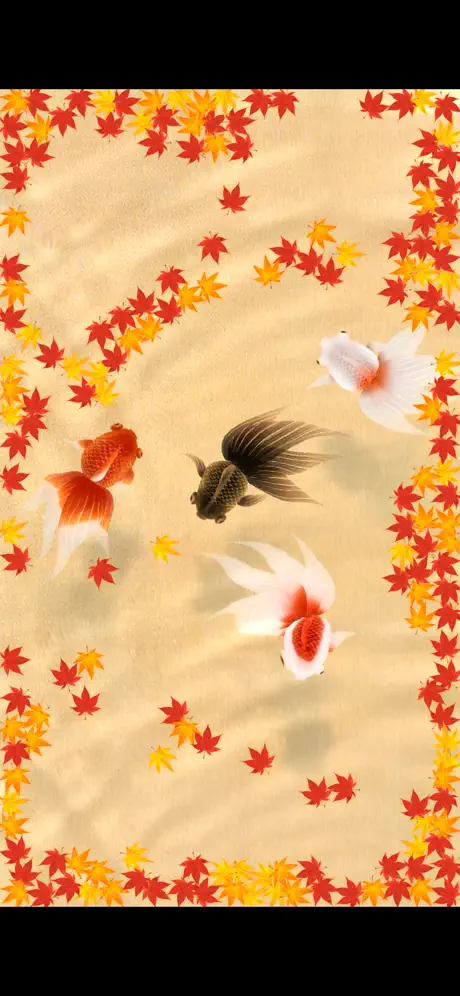 Wa Kingyo - Goldfish Pond