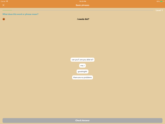iSabi™ Igbo+ iPad screenshot 3 - Education app