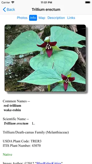 Ohio Wildflowers screenshot 3