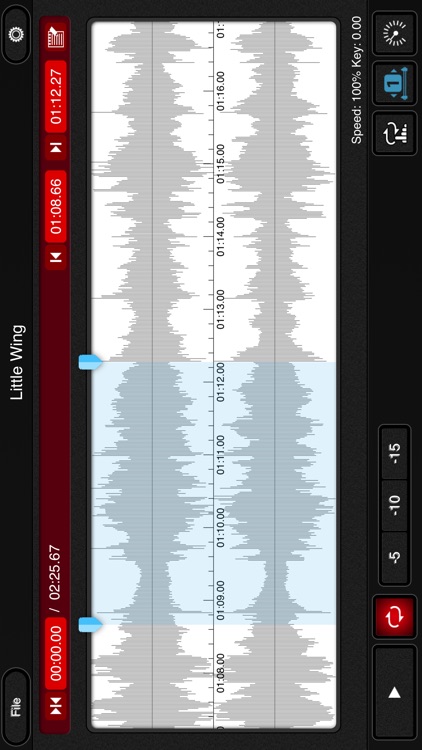 mimiCopy - Slow Down Player