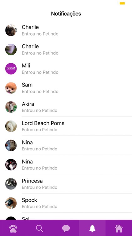 Petindo screenshot-3