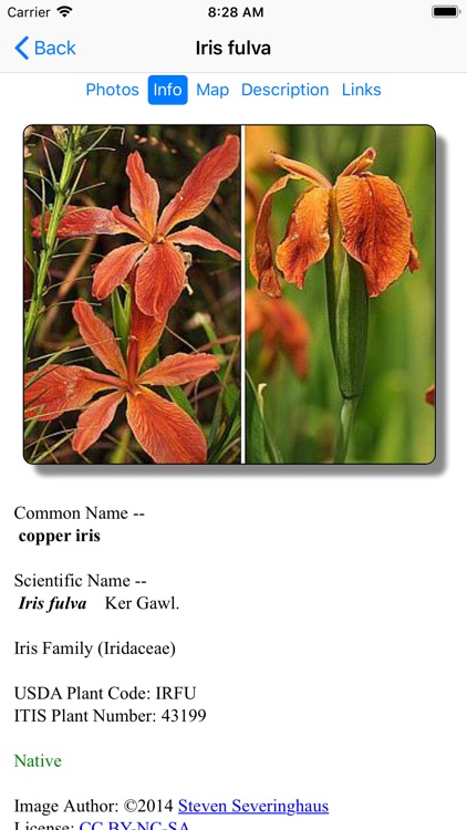 Missouri Wildflowers