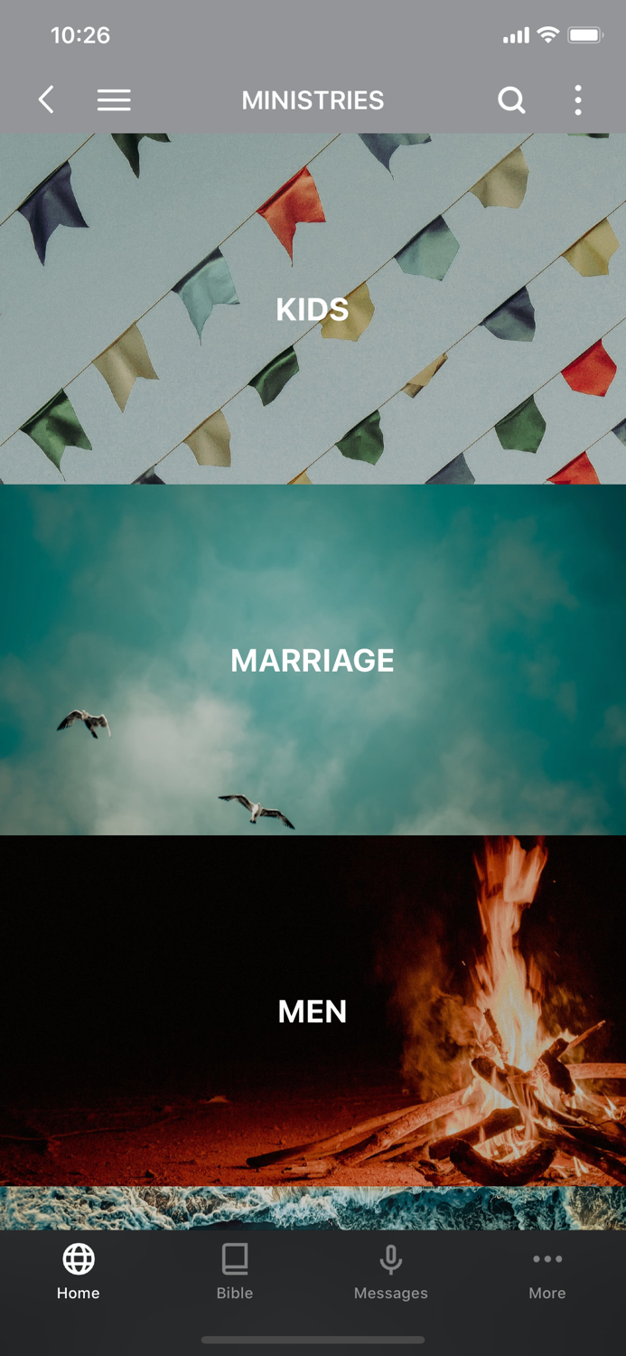 Bayou City Spring Branch