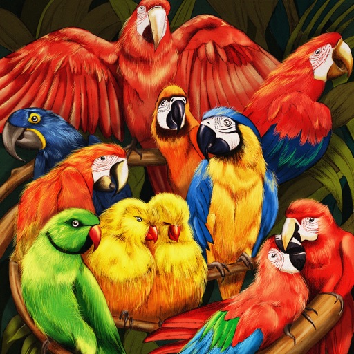 Parrots Card Game