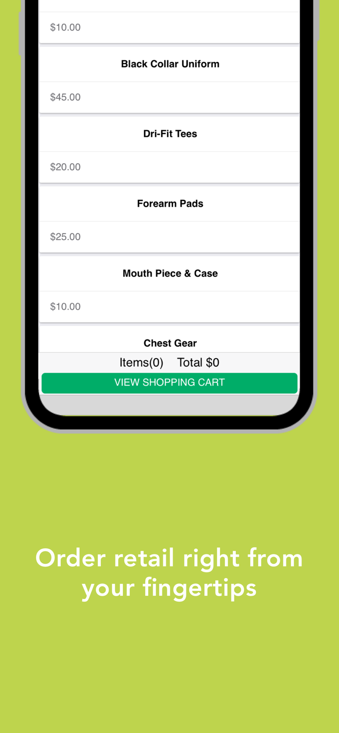 Martial Arts America Rochester