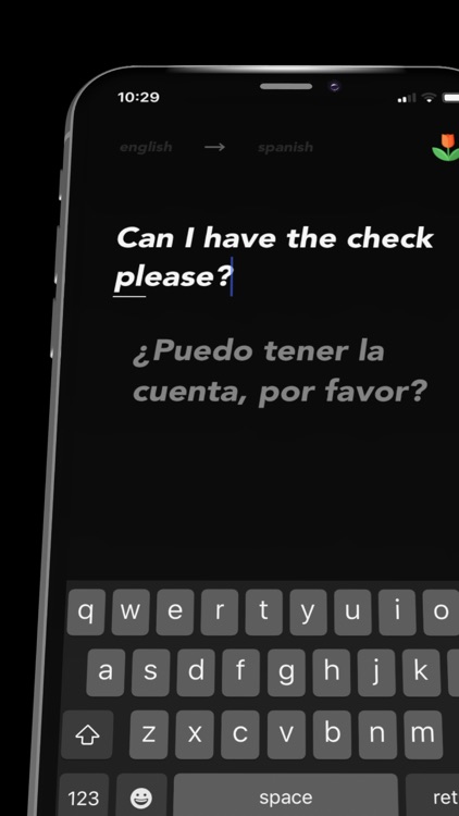 tulip - elegant translation