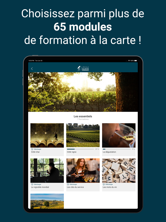 Screenshot #4 pour OEnoBordeaux
