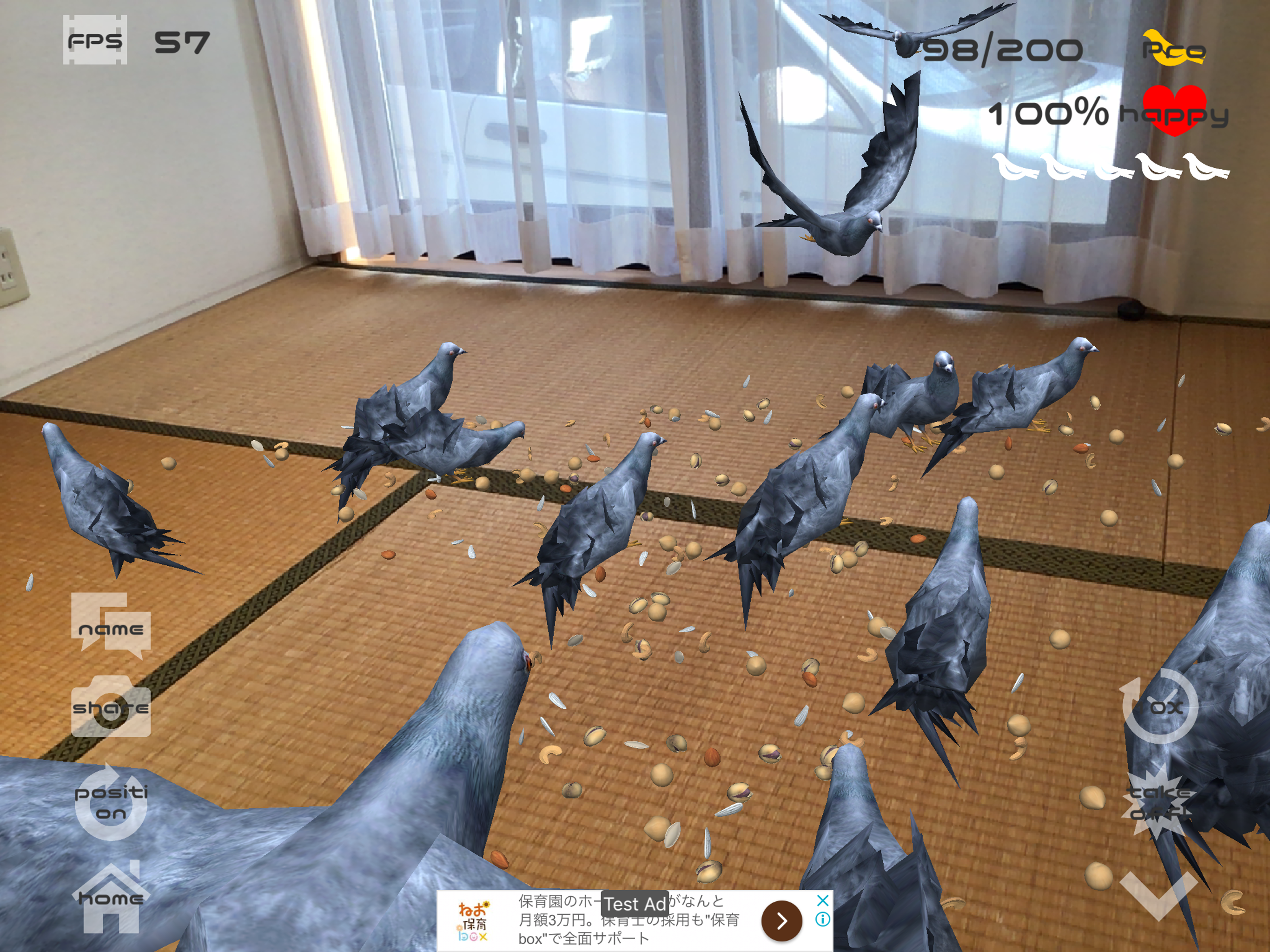Anywhere Pigeon AR
