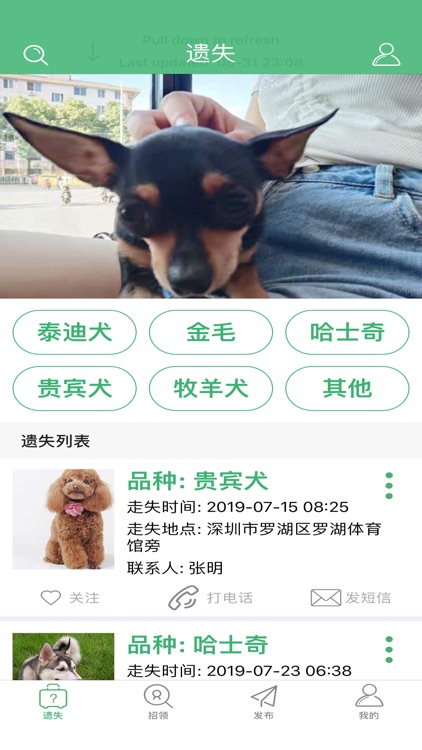 寻宠启事--寻狗