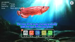 Game screenshot Arowana raising from fry apk