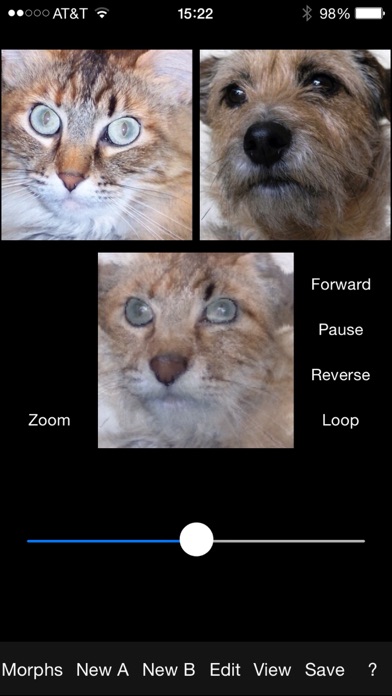 Screenshot #3 pour x2yMorph
