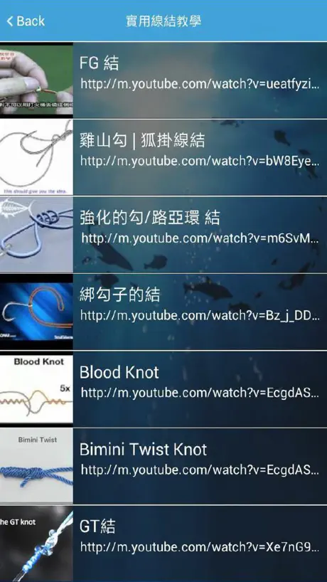 台灣。獨木舟釣魚