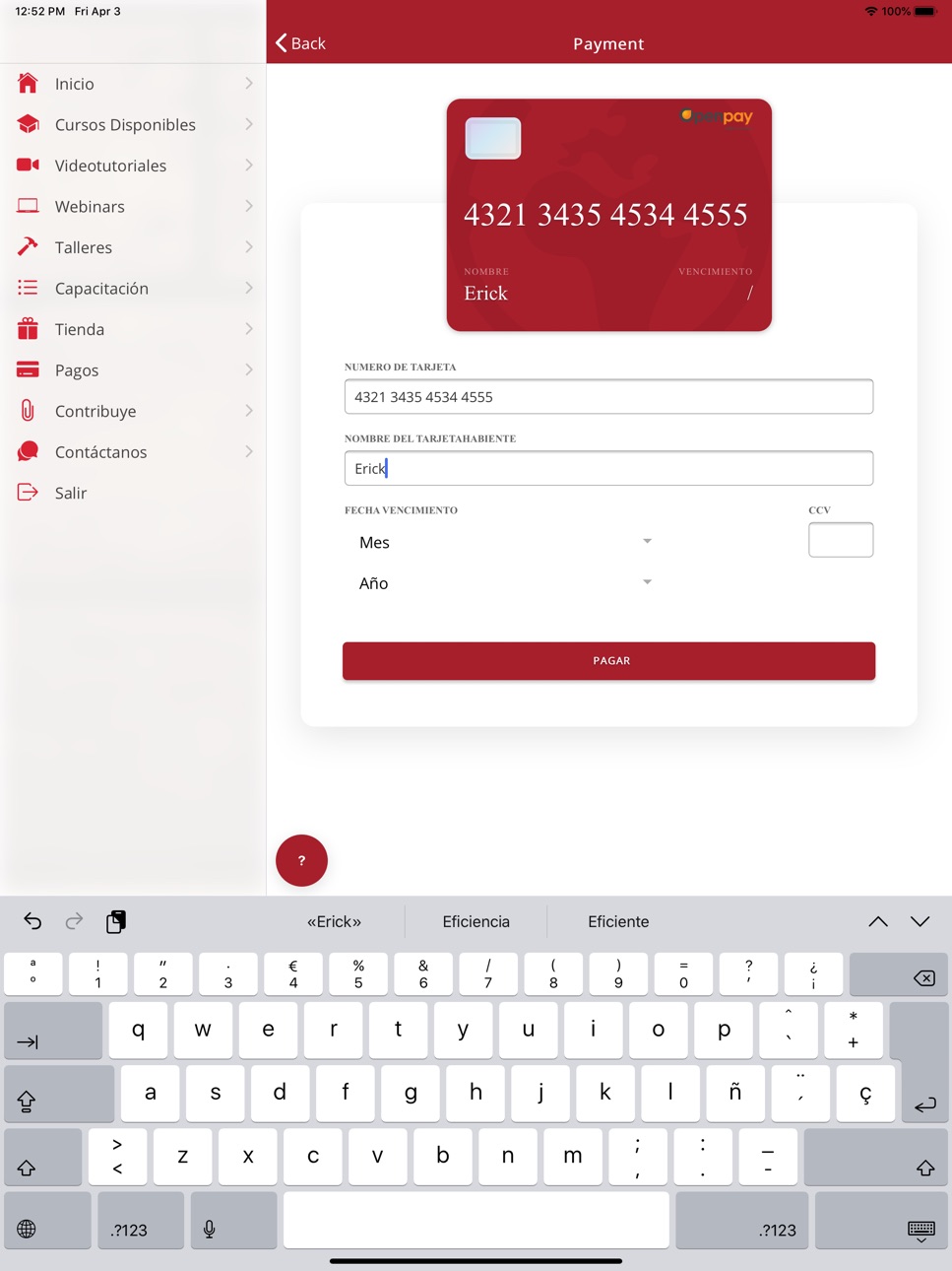 iPad screenshot