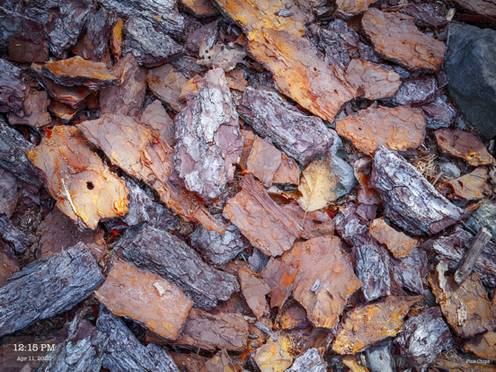 Screenshot #6 pour VG Gallery