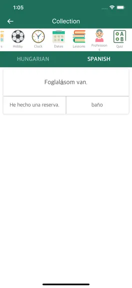 Game screenshot Hungarian Spanish Dictionary hack