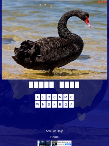 Bird Quiz - Birds of Australiaのおすすめ画像1